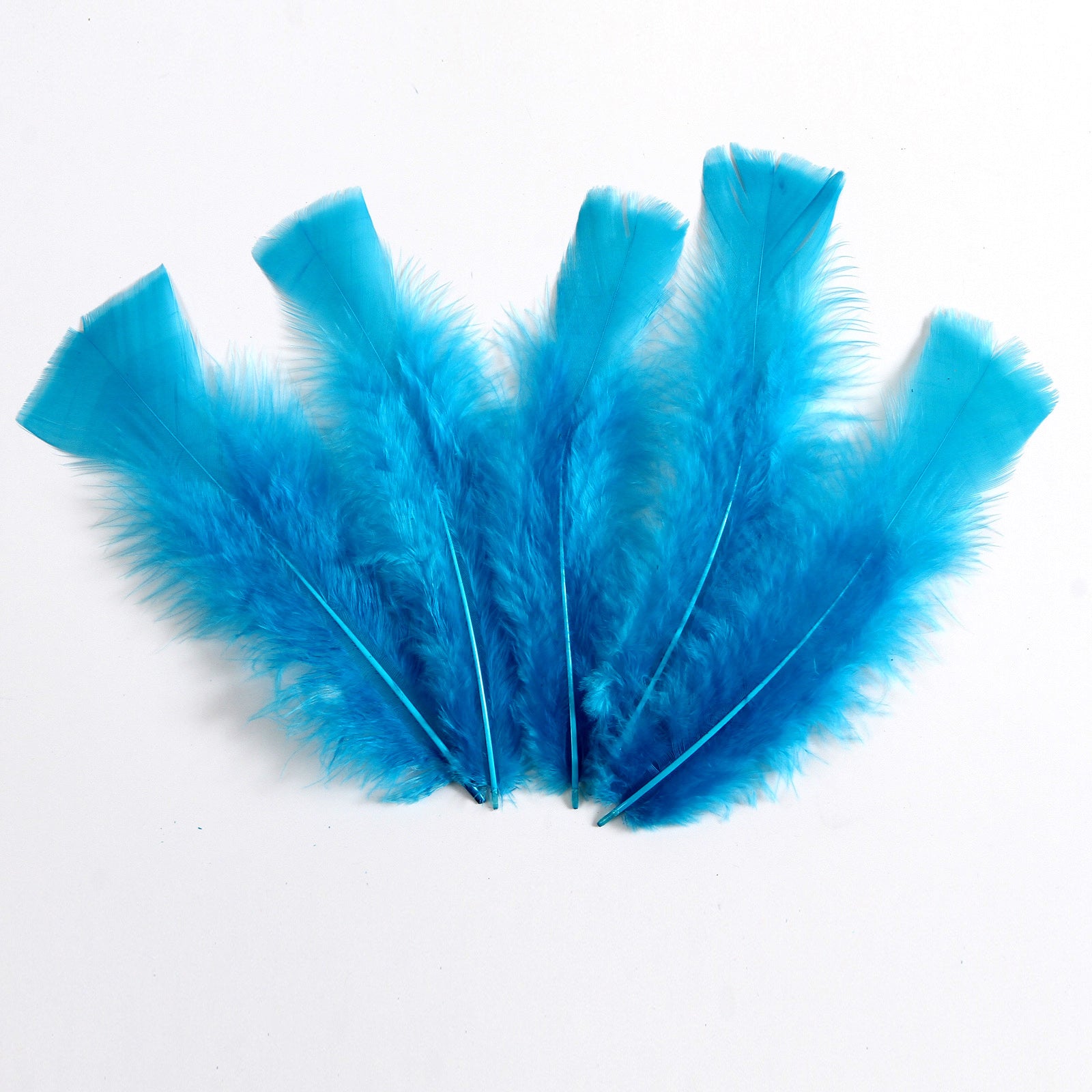 Blue Turkey Plumage (flats) Craft Feathers per Ounce from Lamplight Feather  package