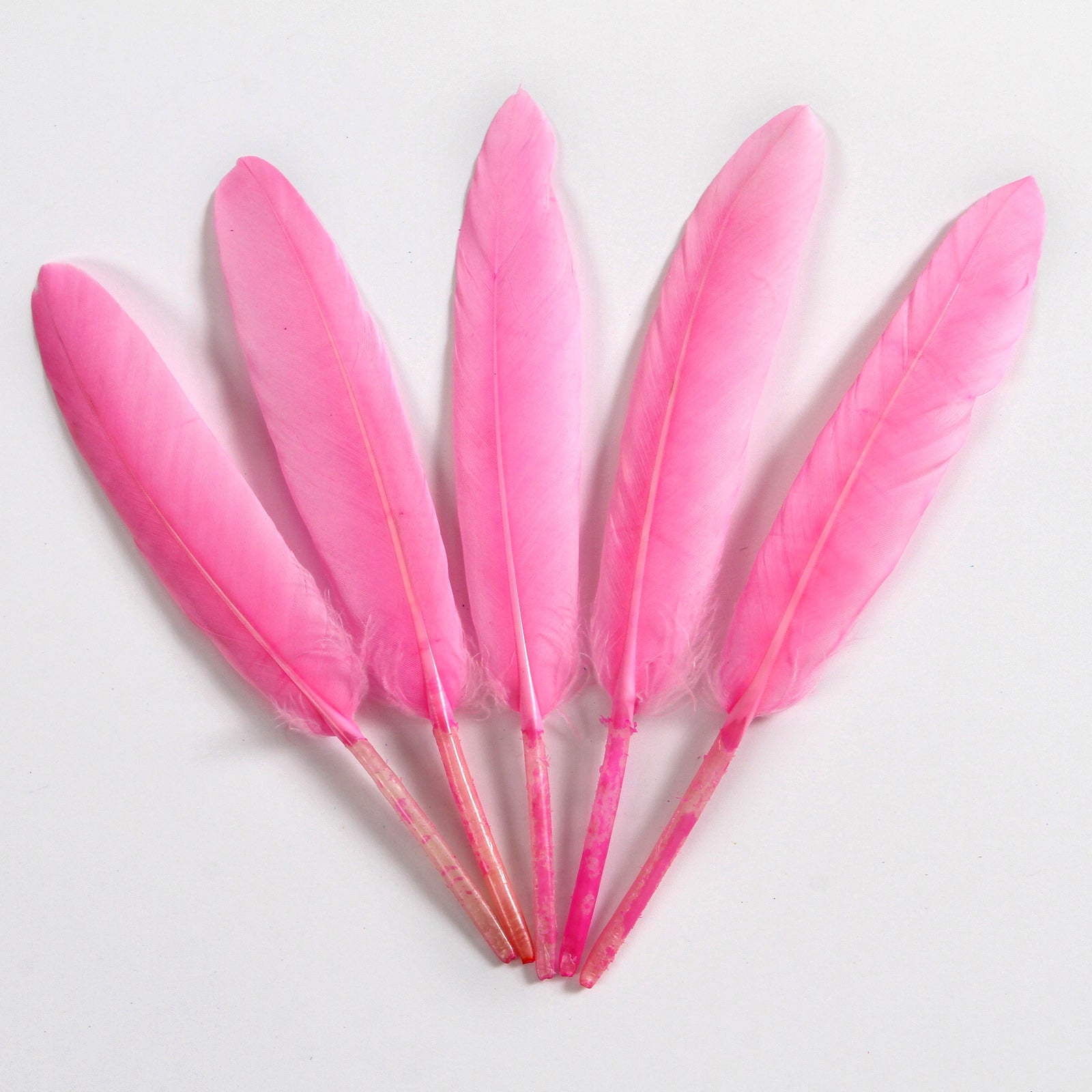 7-9 Inch Long Pink Feathers. Magenta Bird Quills for Making
