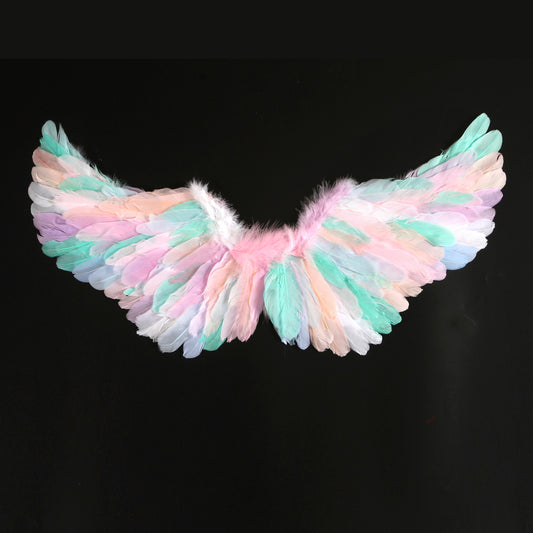 Rainbow Feather angle Wing