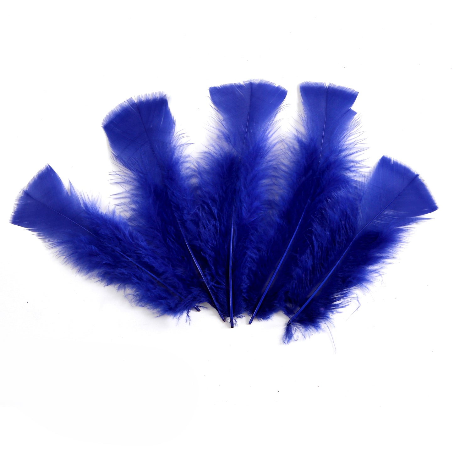 Turkey Flats Feathers, Hobby Lobby, 1086479